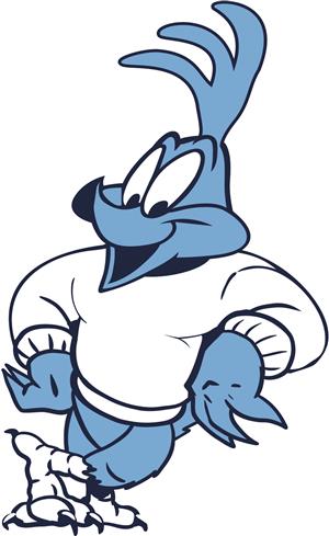 roadrunner 